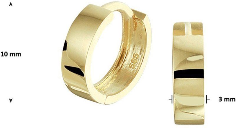 Oorringen - 14K Geelgoud - Scharnier - 10x3 mm