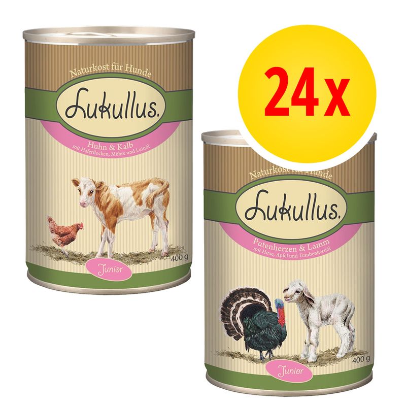Lot 2 saveurs Lukullus Junior 24 x 400 g