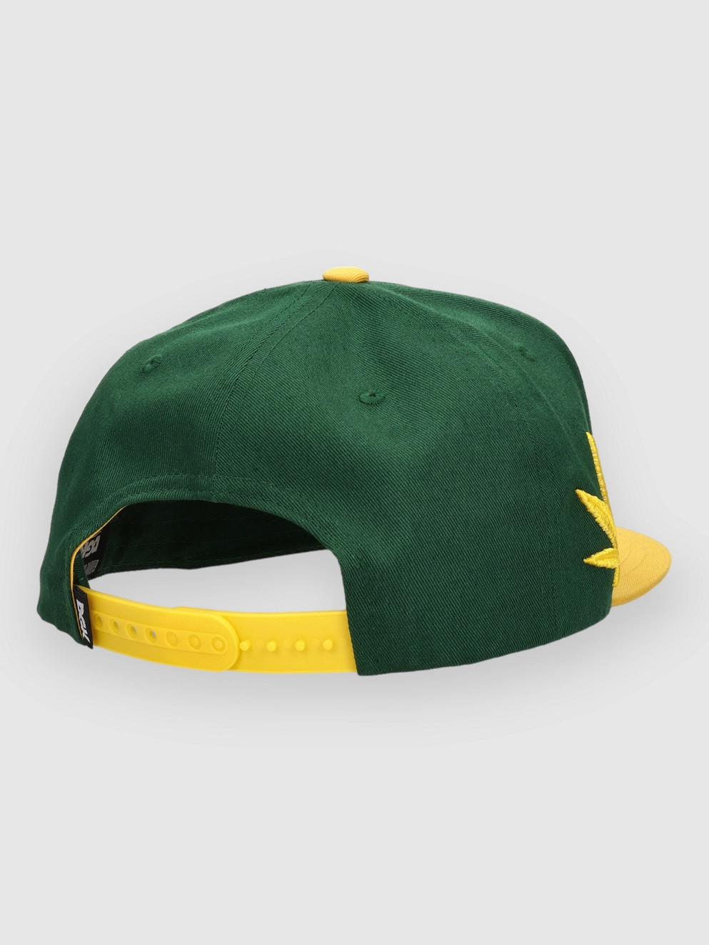 DGK Team Indica Snapback Cap green