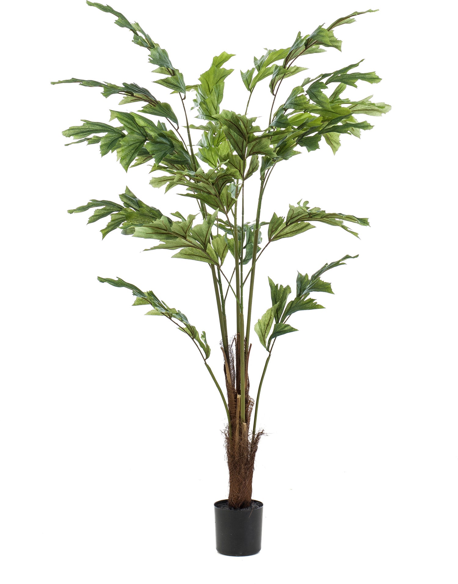 Emerald kunstplant Vissenstaartpalm 75 x 75 x 120 cm