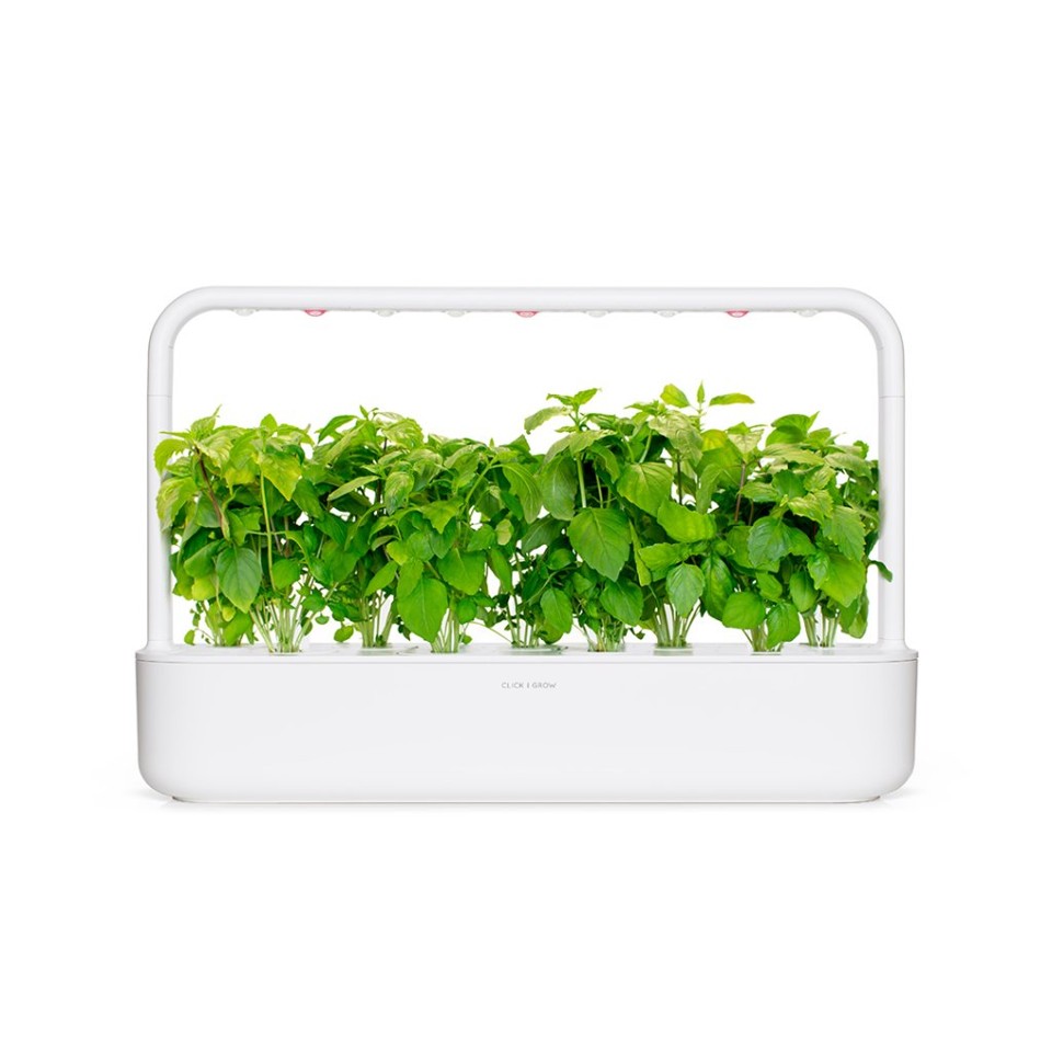 Click and Grow - Smart Garden Refill 3-pak - kanel-basilikum