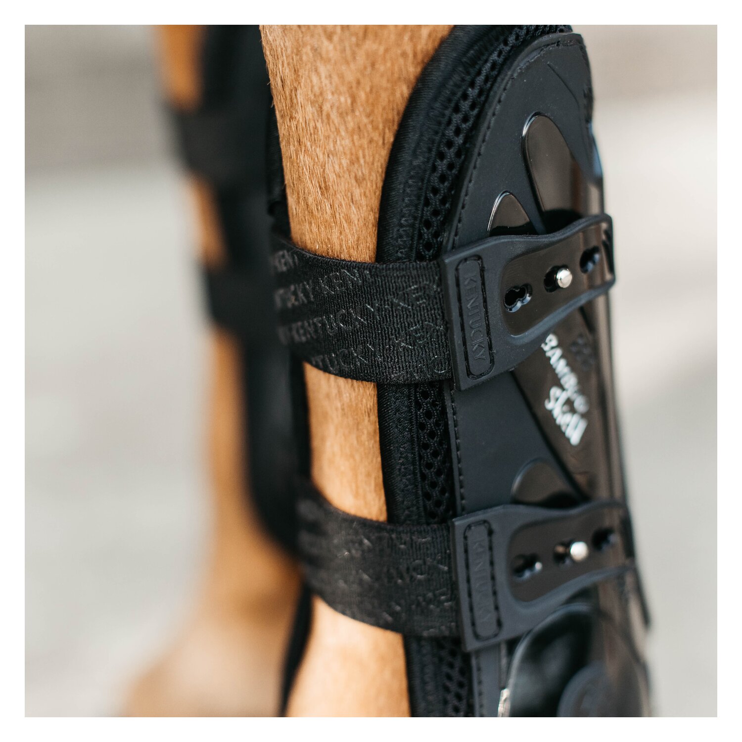KENTUCKY Springgamaschen Bamboo Shield, für Vorderbeine - black