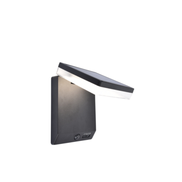Lutec buitenlamp Moze met dag/nacht en bewegingssensor zwart