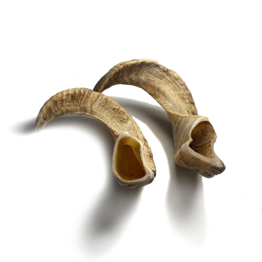 Brinquedo para mastigar para cães feito com chifre de carneiro 100% natural