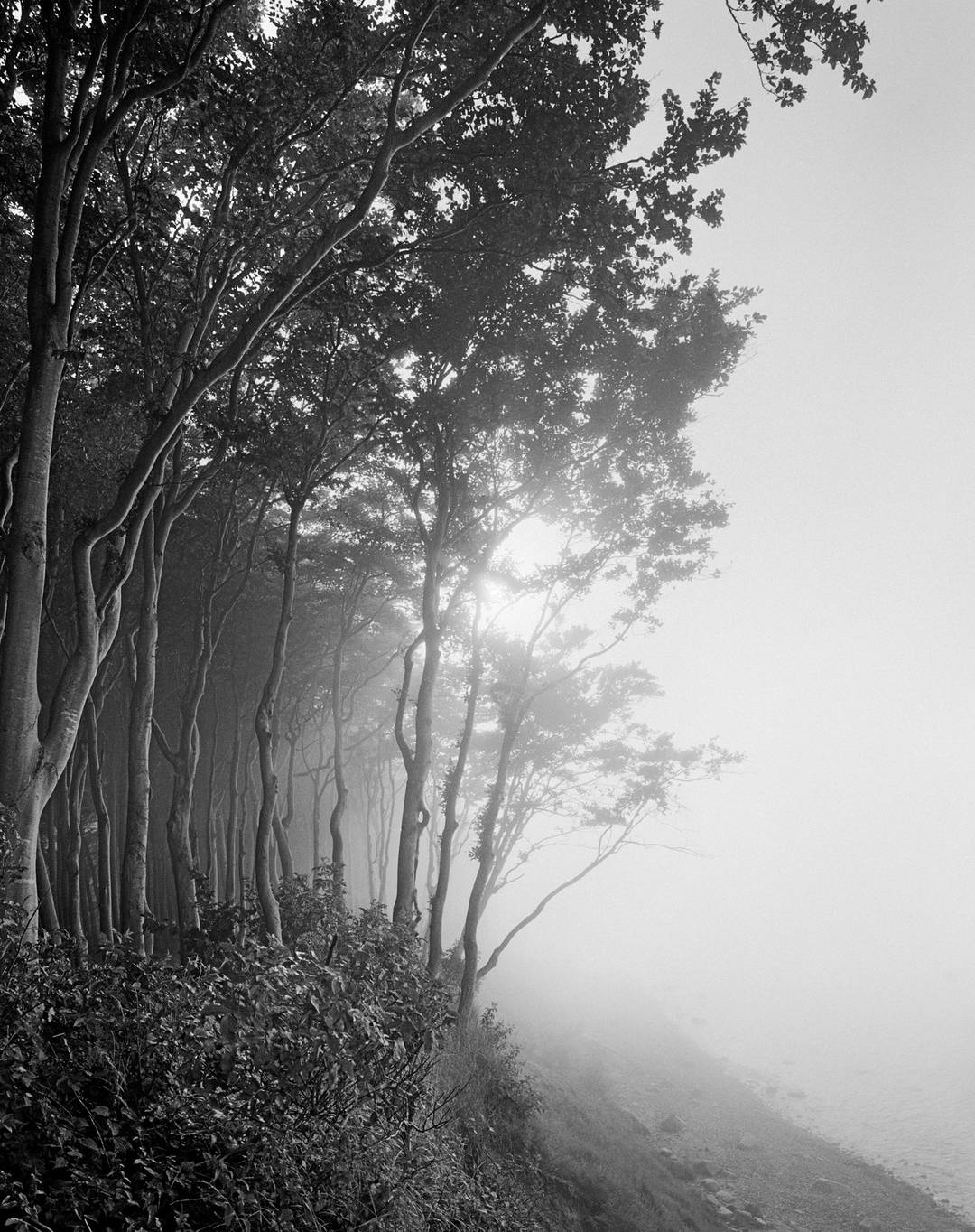 Wittow IV by Ralph Von Kaufmann - Limited Edition. Edition of: 150. Signed.