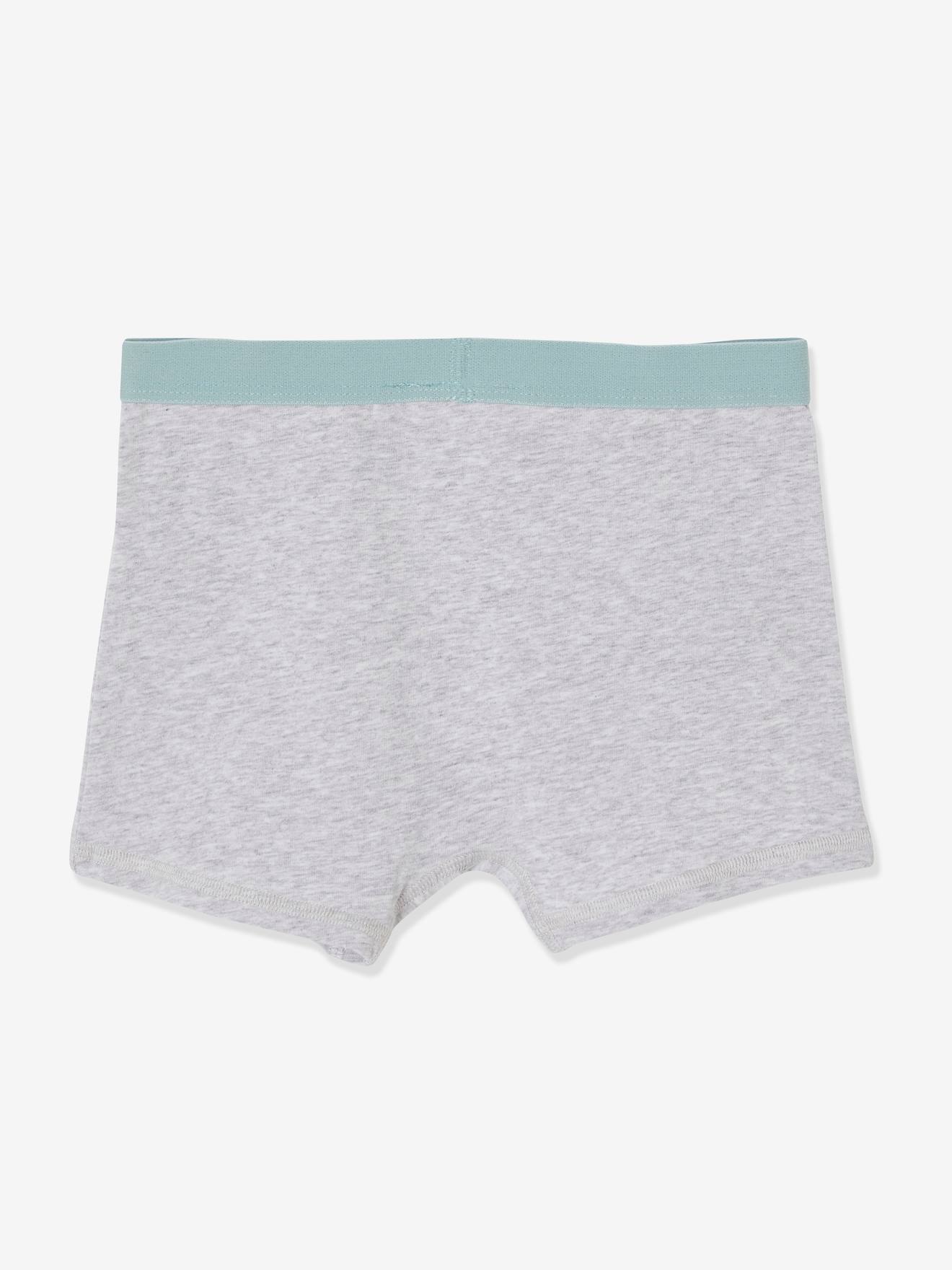 Pacote com 2 cuecas boxer lisas cinza claro dos Looney Tunes®