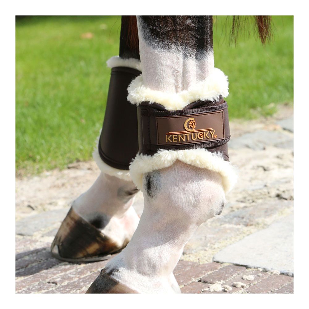 Kentucky CUIR - Protège-boulets choco