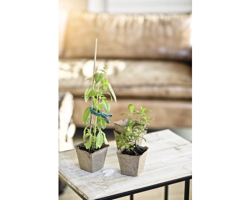 FloraSelf zaailingpotten 8x7,5x16 cm, 16 stuks