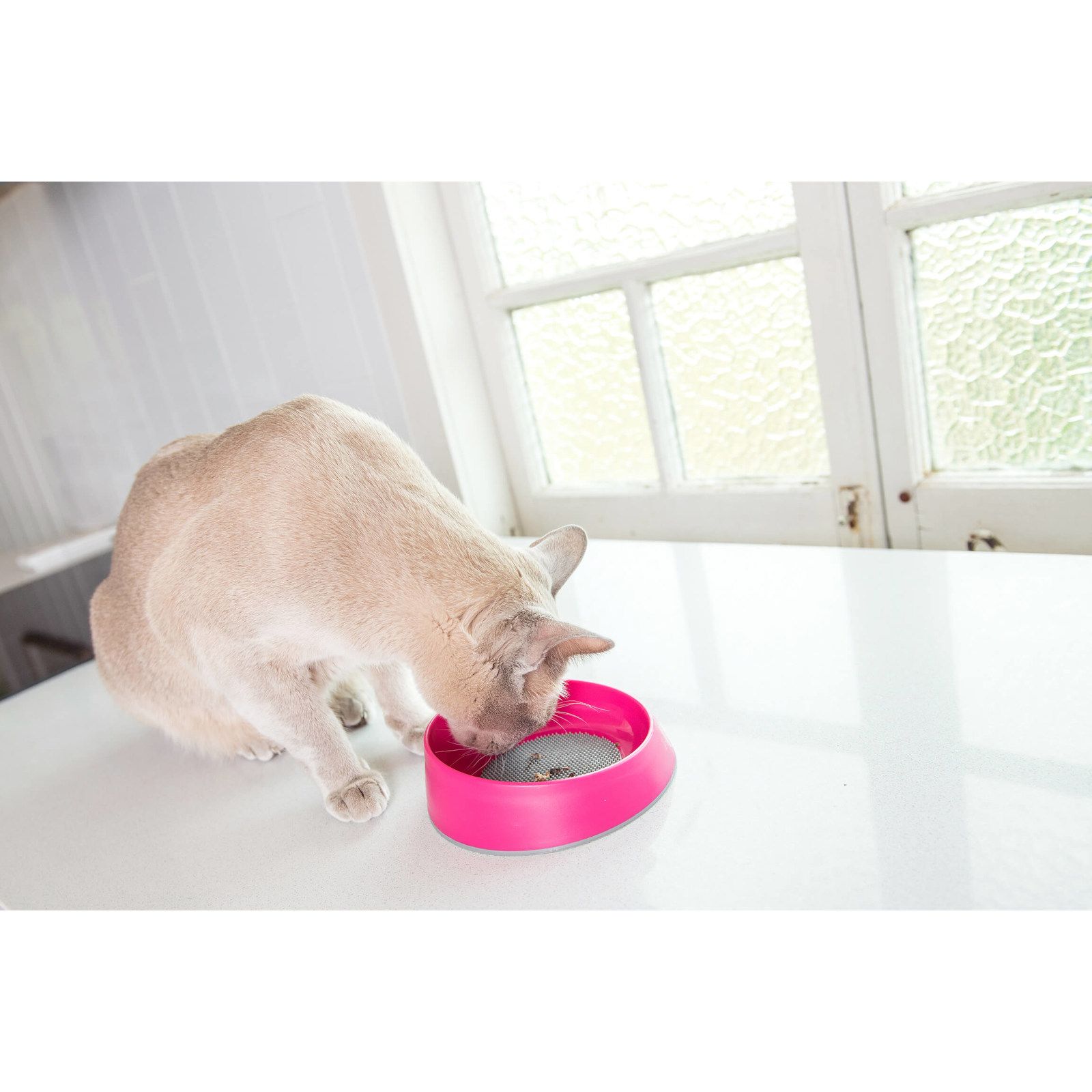 Lickimat OH Bowl - Schlecknapf für Katzen