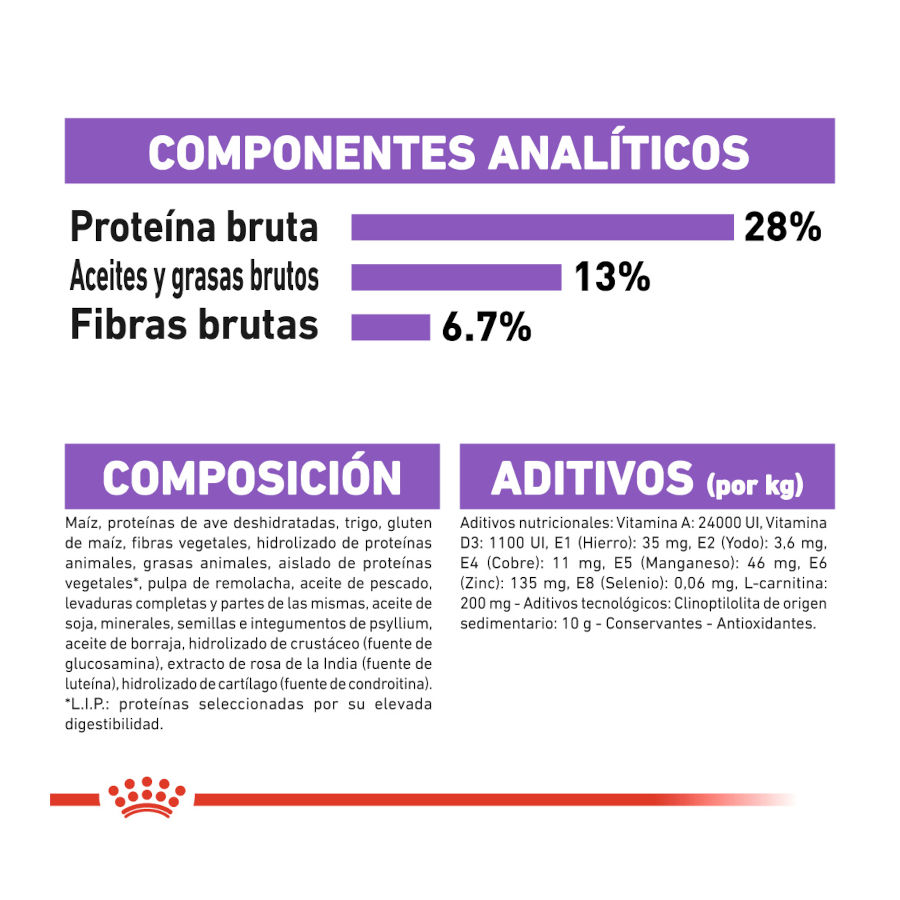 Ração esterilizada Royal Canin Maxi para cães