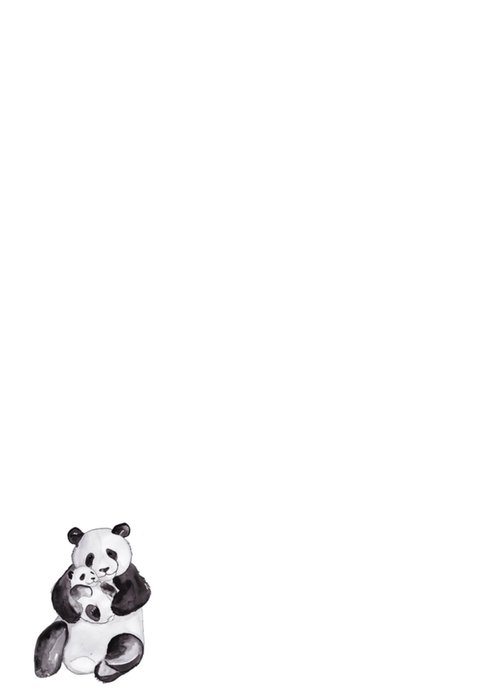 Marie Bodie | Geboortekaart | Panda