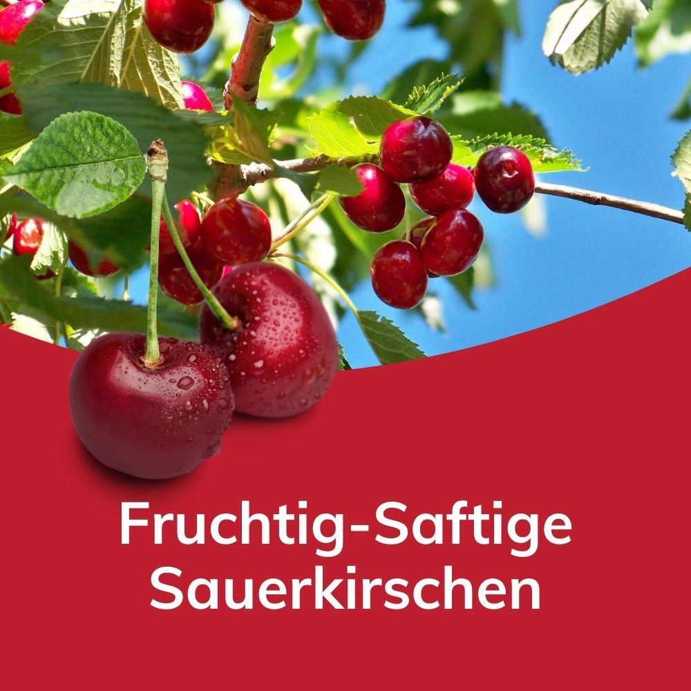 Laibmann's Zuckerarme Fruchtaufstriche -  Spar-Paket