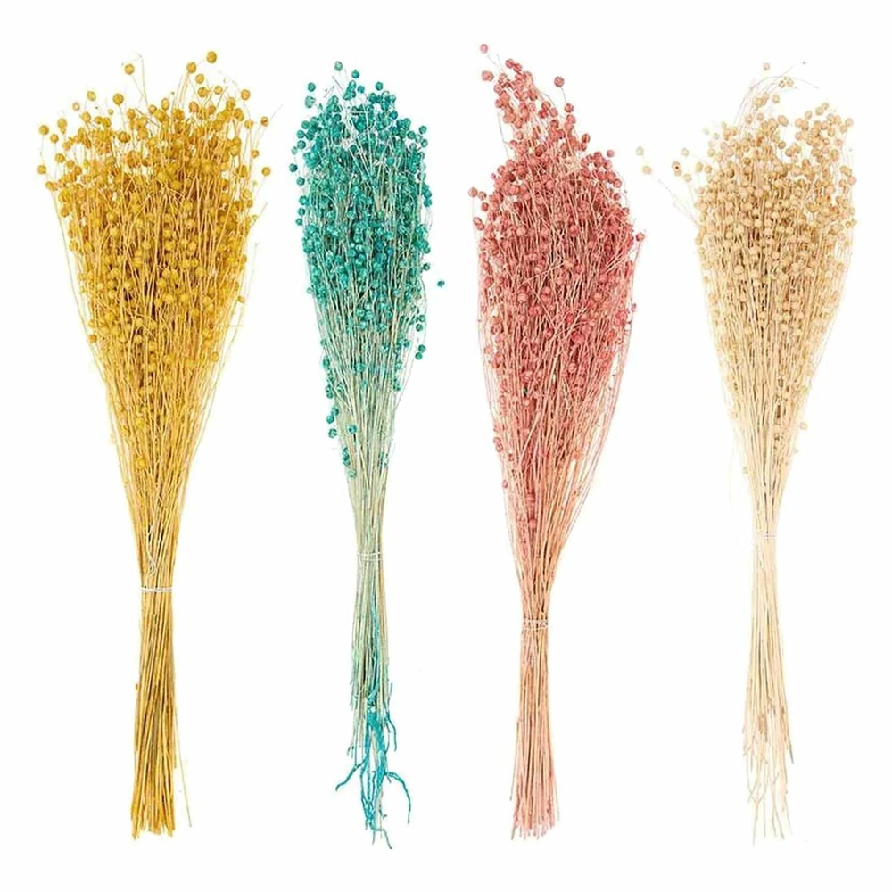 24 tiges de lin séché multicolores 70 cm