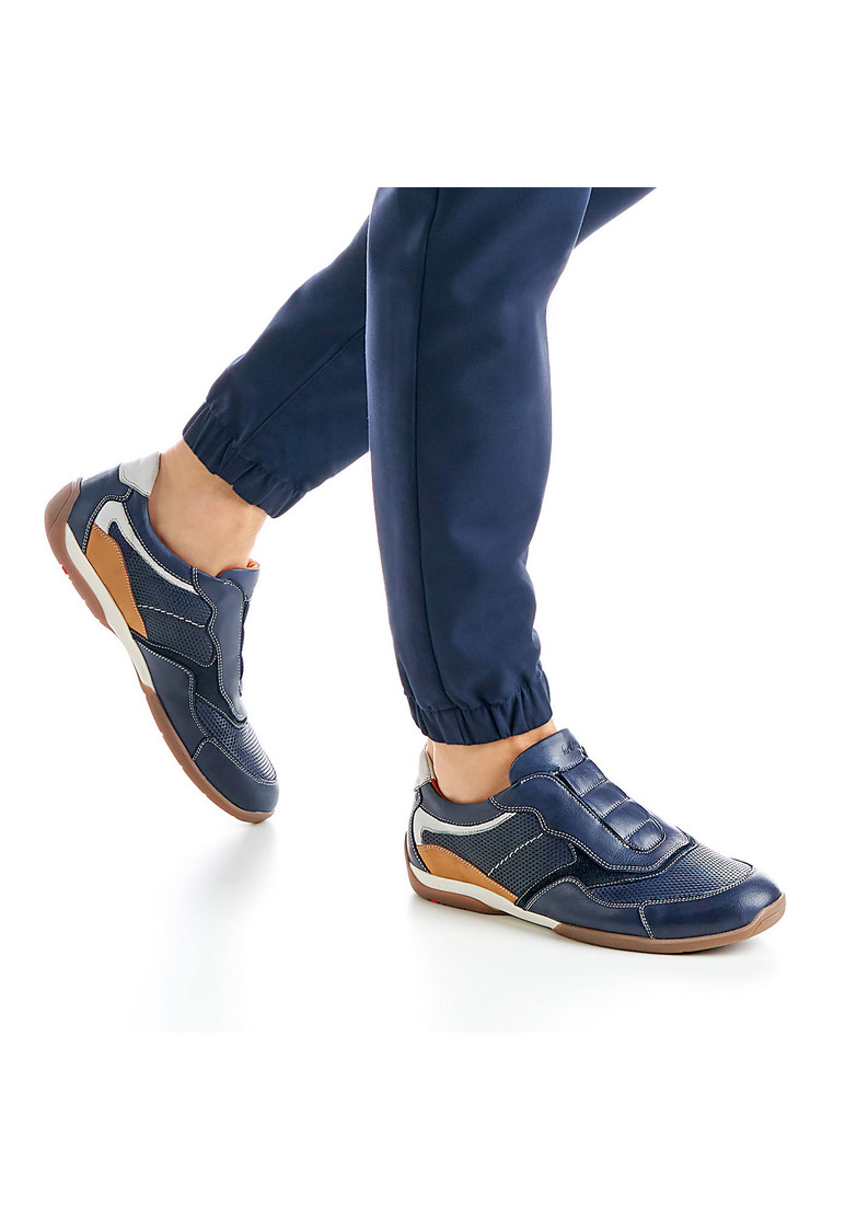 BANFIELD Blau