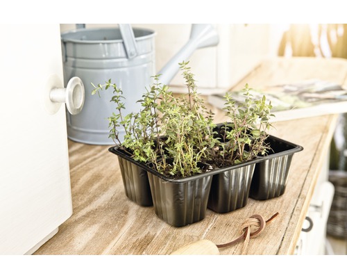 FloraSelf kunststof zaailingpotten, 4 plantbakken x 6 plantopties = 24 plantpotten, 18x14x6 cm