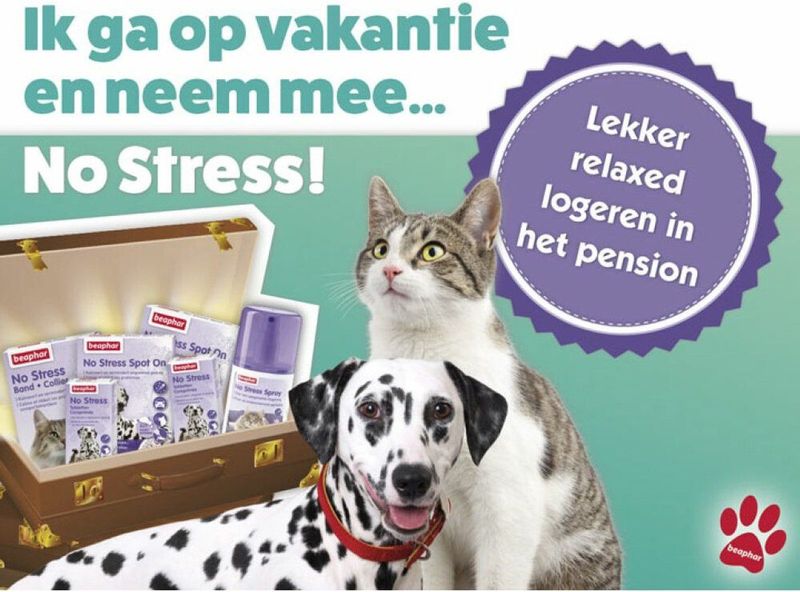 No Stress Spot On Hond - 3 Pipetten