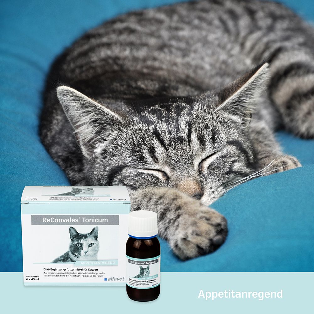 ReConvales® Tonicum für Katzen