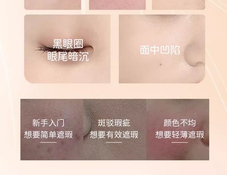 DEZONE - Dual Head Flawless Concealer met kwast - 4 tinten