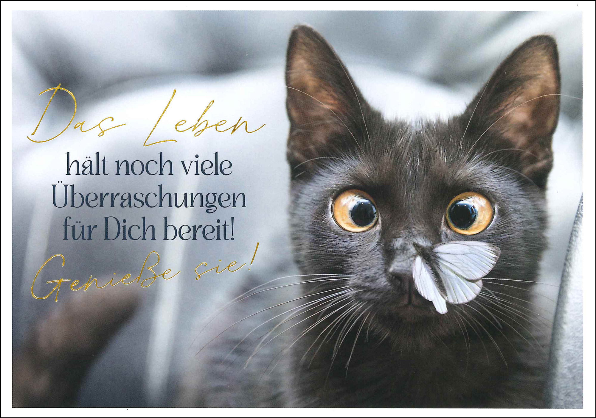 Postkarte 'Das Leben hält noch viele Überraschungen...' günstig bestellen