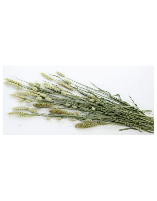Esve Pet Bouquet Knaagveld - Knaagdiersnack - 100 g