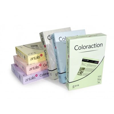 Antalis Coloraction - Papier couleur - A4 (210 x 297 mm) - 80 g/m² - Ramette de 500 feuilles - forest