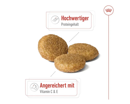 ROYAL CANIN Medium Adult droog hondenvoer 4 kg