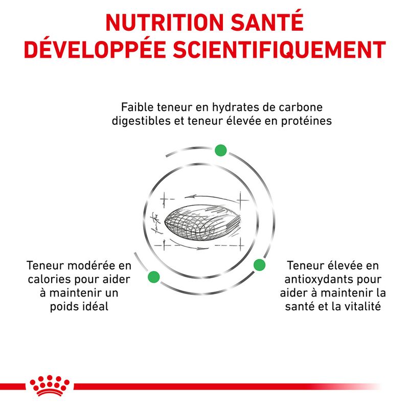 Royal Canin Veterinary Diabetic DS 46 à prix discount sur bitiba.fr