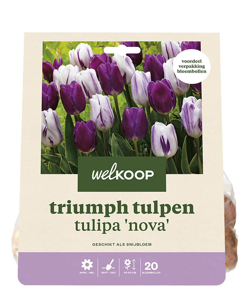 Welkoop Tulpen mix Fleur - Bloembollen