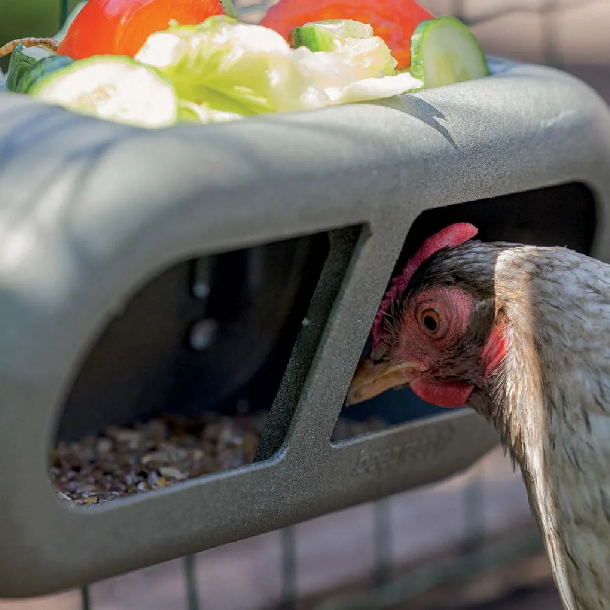 GREENLIFE Mangeoire poules plastique recyclé