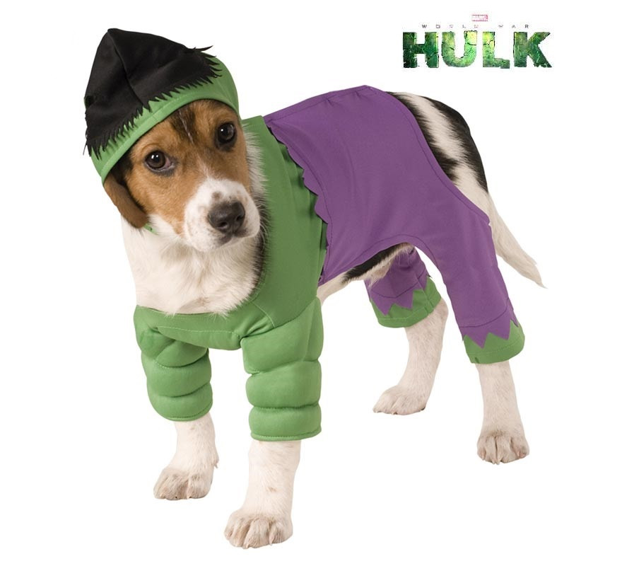 Fantasia do Hulk com chapéu para cachorro