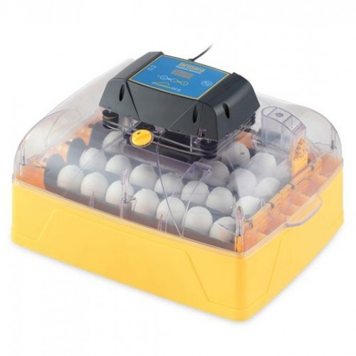 Incubadora digital Brinsea Ovation 28 Eco para pintinhos
