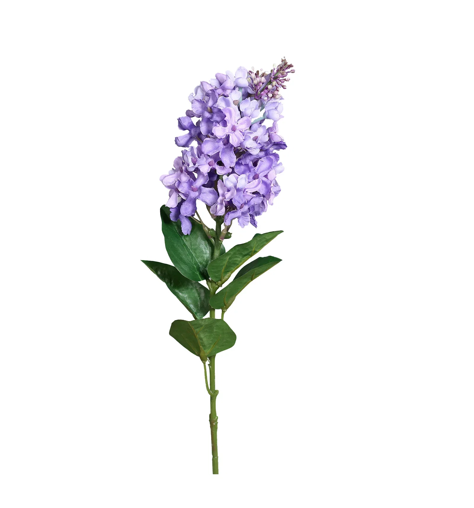 Syrin kvist kunstig Høyde 65 cm