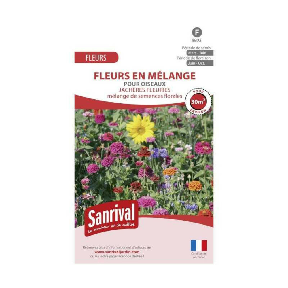 Jachère fleurie pour oiseaux
