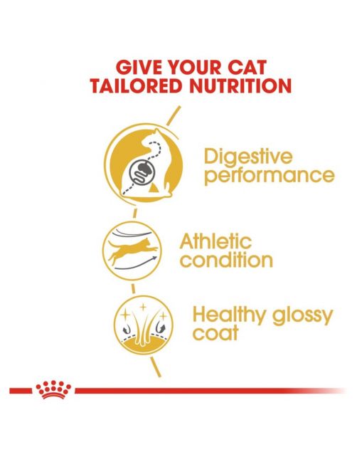 Royal Canin Bengal Adult - Kattenvoer
