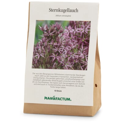 Sternkugellauch
