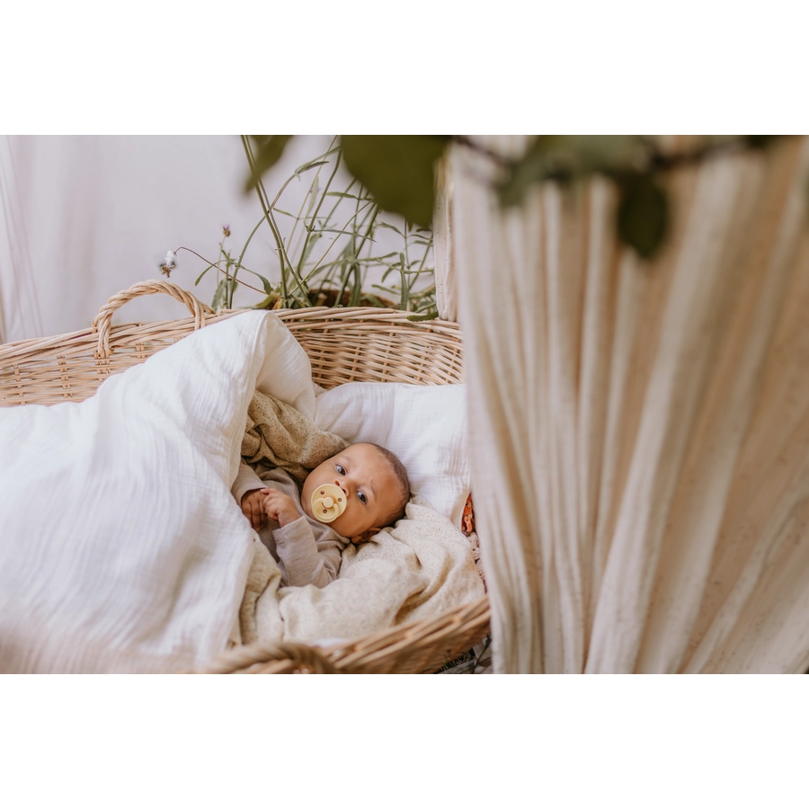 BIBS® Schnuller Colour Pale Butter & Dusty Pink 6-18 Monate, 2 Stk.