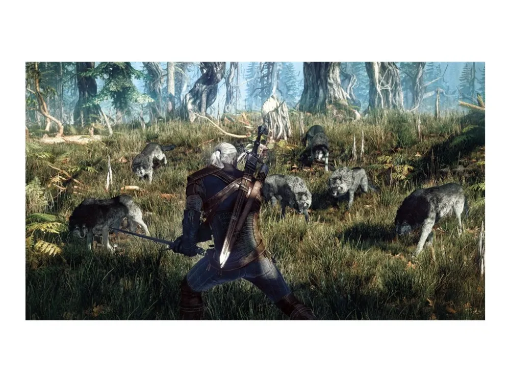 The Witcher 3 Wild Hunt - Game Of The Year Edition - PlayStation 4