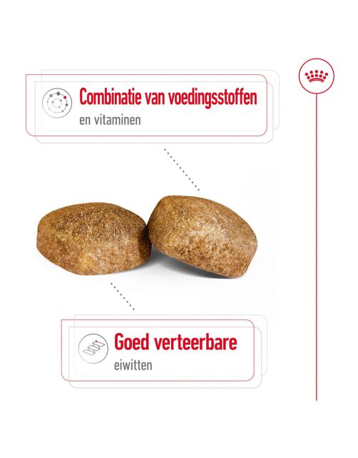 Royal Canin Giant Adult - Hondenvoer