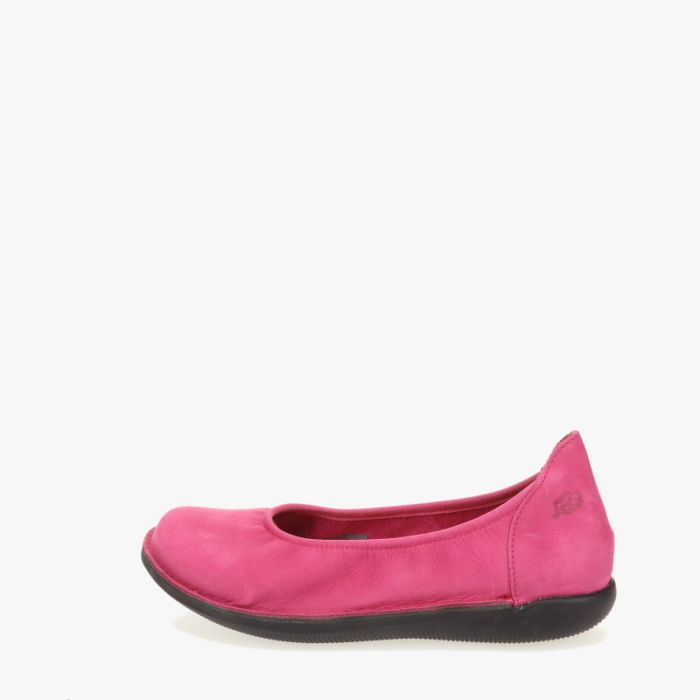 Nessersluis black sole