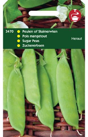 Hortitops Peulen Pisum sativum Heraut - Peulvruchten