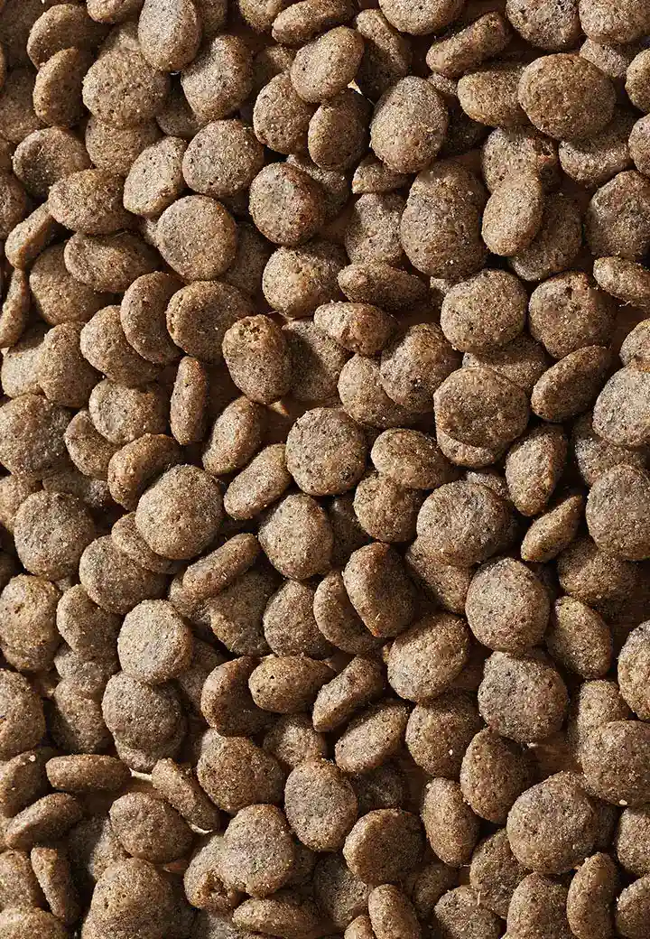 Dog Sana Pferd Mini