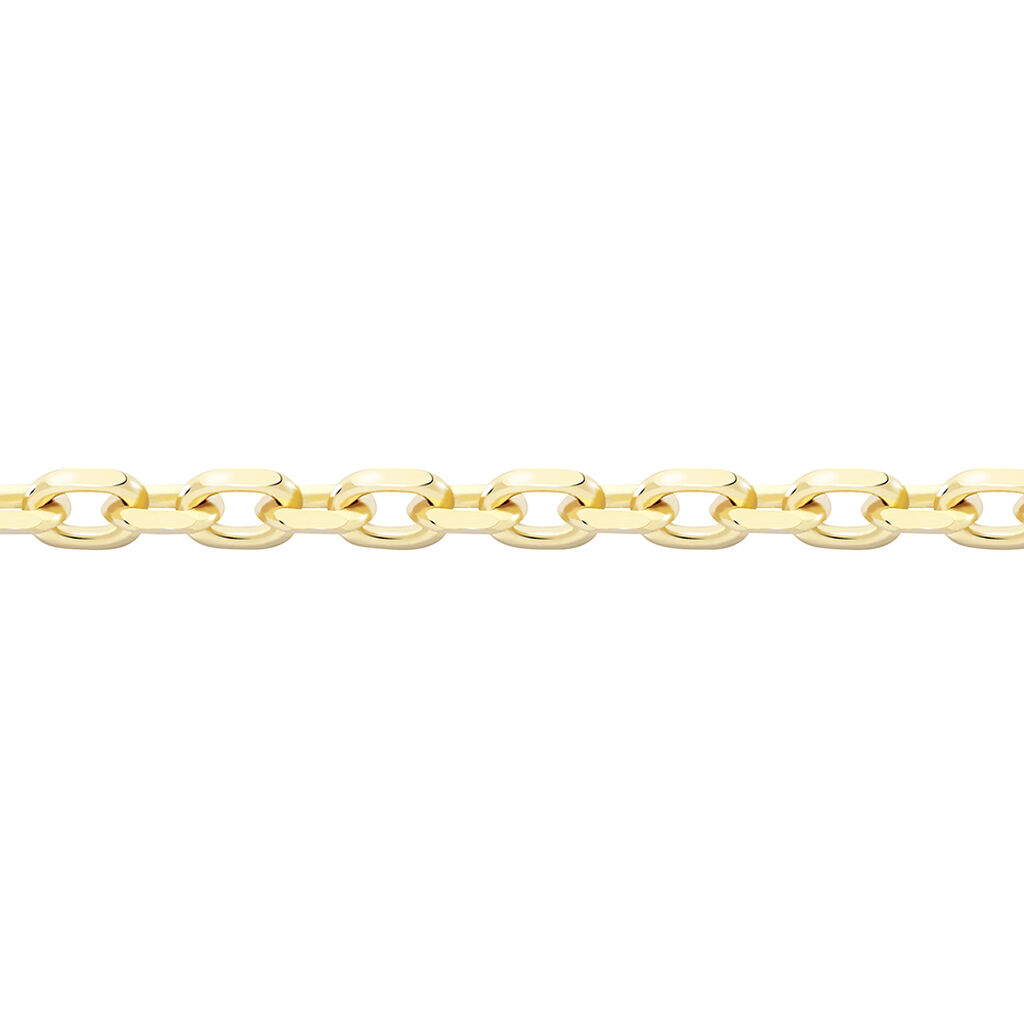 Chaîne Igoa Maille Forçat Diamantee Or Jaune
