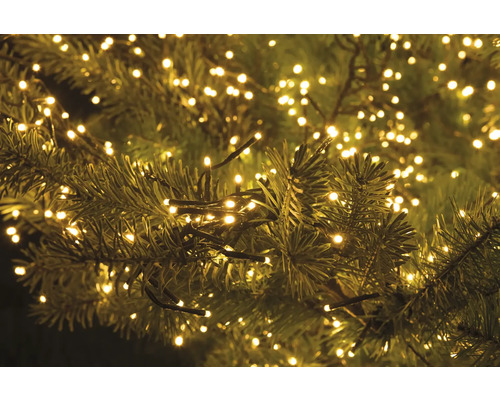 LED-lichtsnoer Lafiora Cluster 15 m + 10 m aansluitdraad 1500 LED's warm wit licht