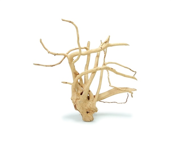 Spider Wood XS