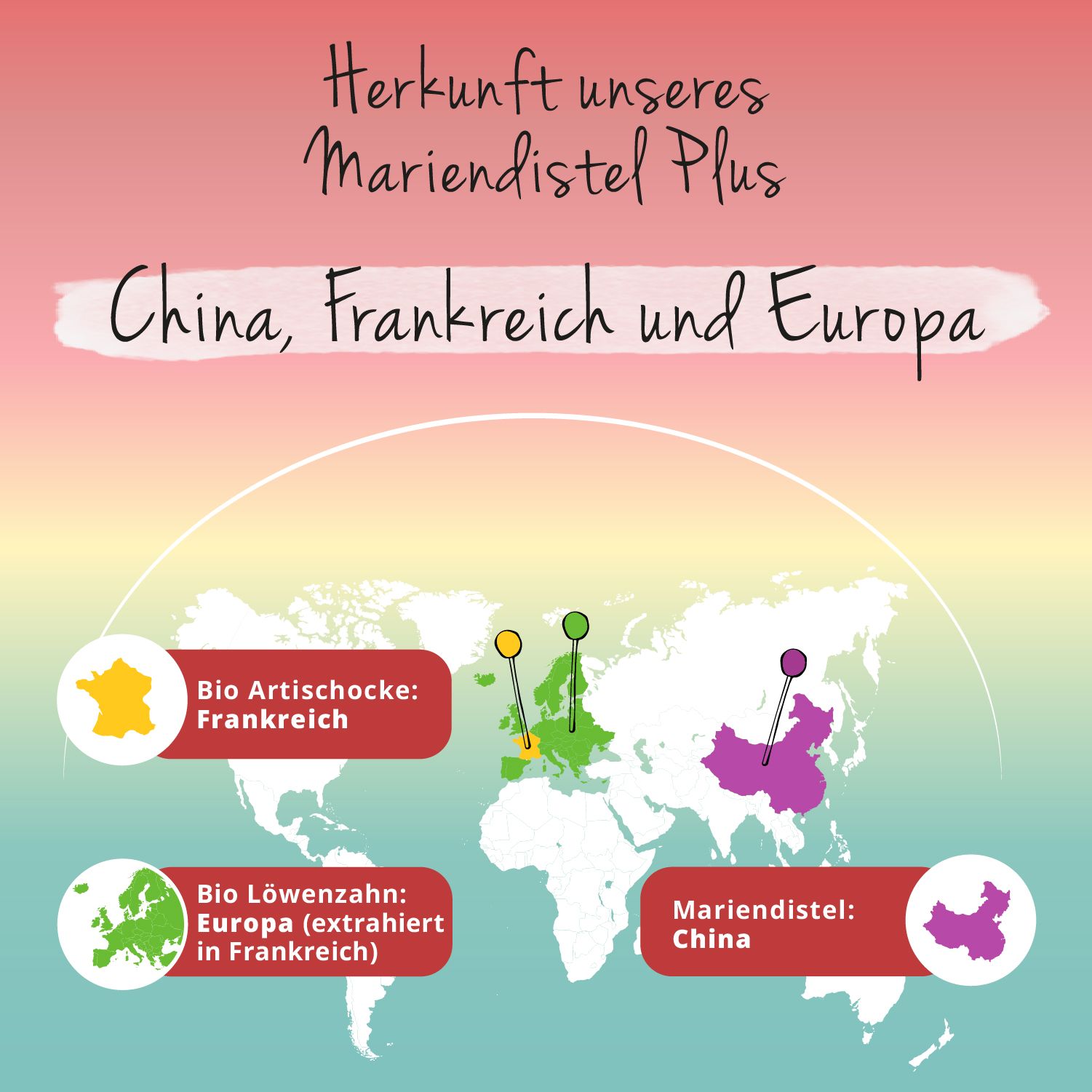 VEGAVERO Mariendistel Plus