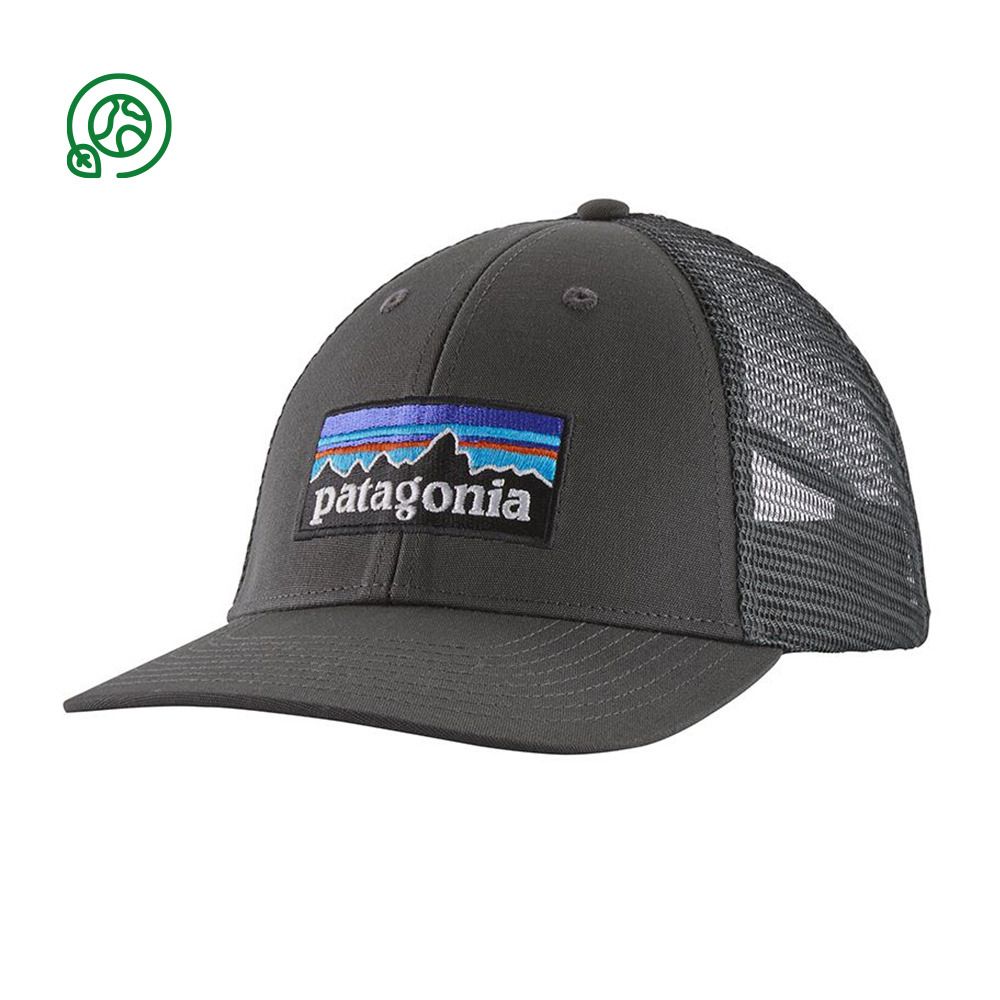 Patagonia P-6 LOGO LOPRO - Casquette forge grey