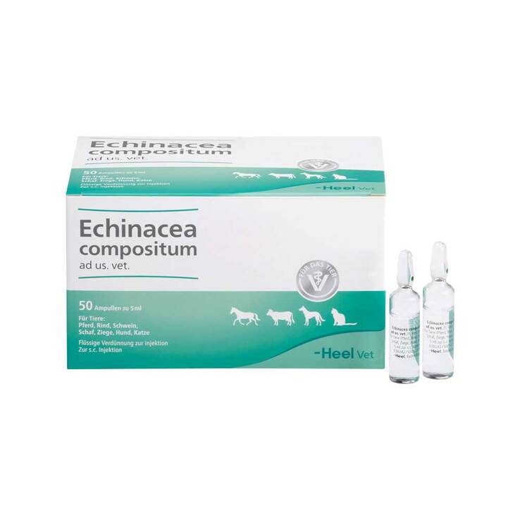 Echinacea Compositum Ampullen vet. (für Tiere), 50 St