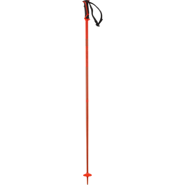 ARCTIC  Alpinstöcke Unisex