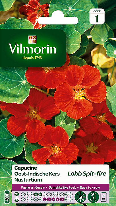 Graines de Capucine de Lobb Spit-fire Vilmorin