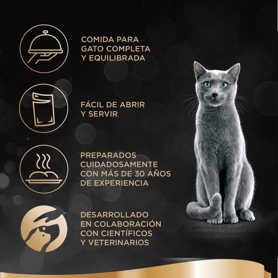 Gelatina Sheba Delicatezze para Pássaros em Sachês para Gatos - Pacote com Vários